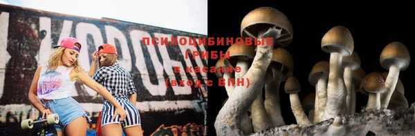 хмурый Балахна