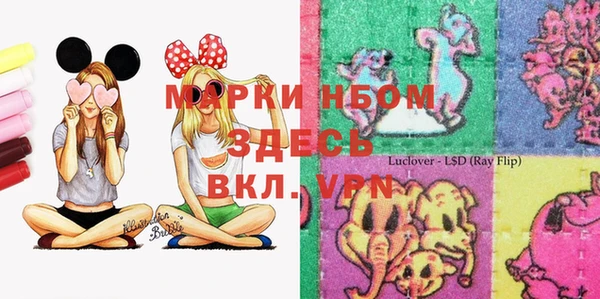 Альфа ПВП Баксан