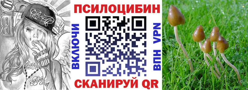 где купить наркотик  Луза  мега вход  Галлюциногенные грибы ЛСД 
